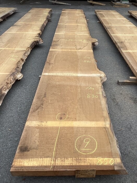 スプルース　一枚板