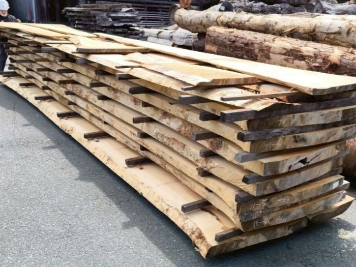 銀杏（イチョウ）　無垢材