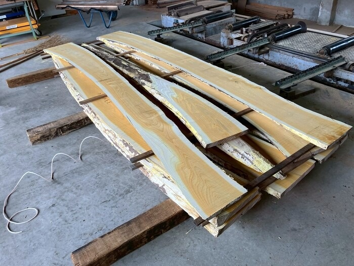 苦木（ニガキ）　無垢材