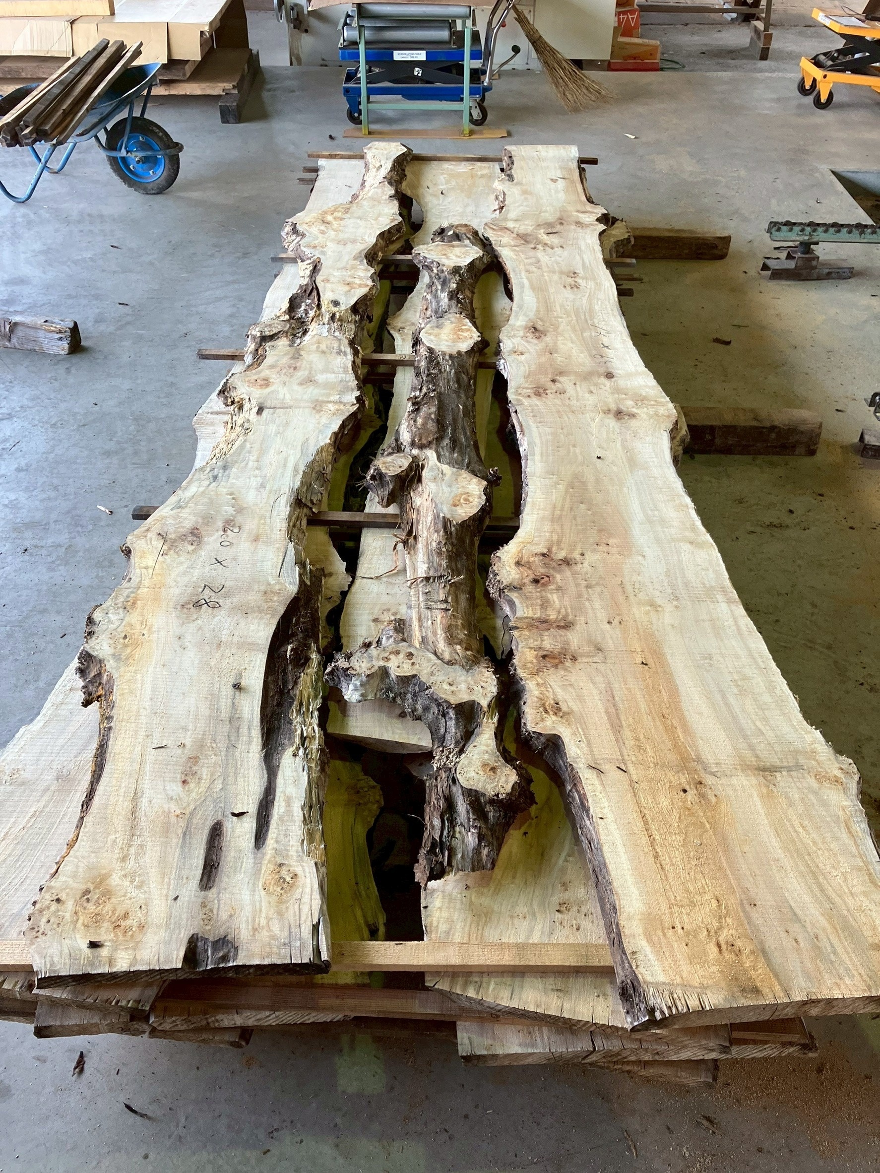 ポプラ　無垢材