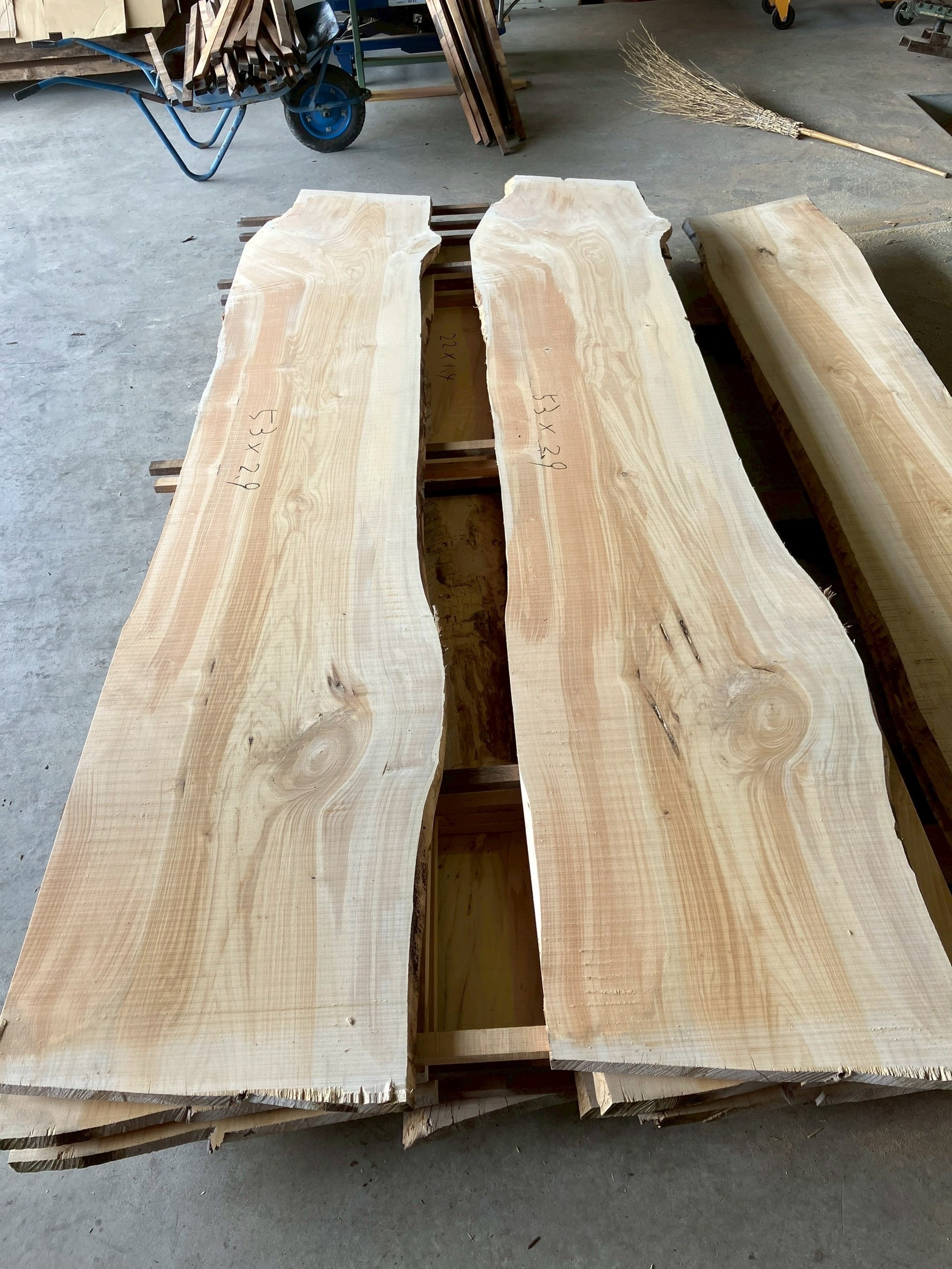 銀杏（イチョウ）　無垢材