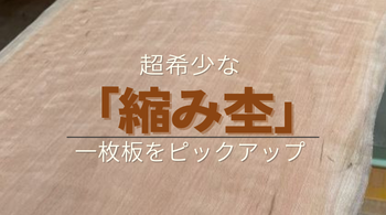 超希少な「縮み杢」入り一枚板をピックアップ