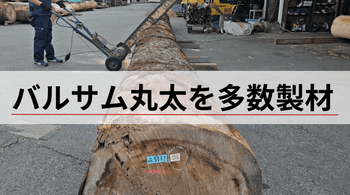 バルサム丸太を多数製材しました。