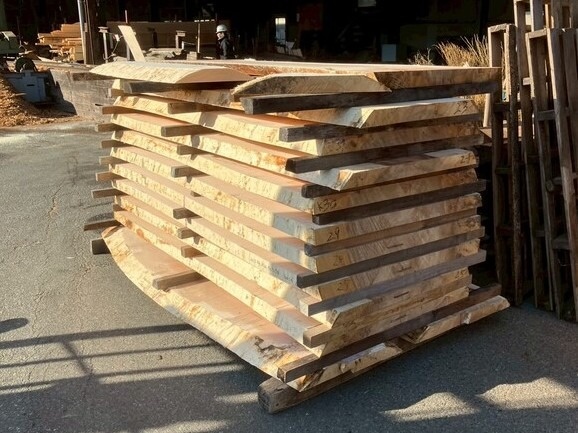 栃（トチ）　無垢材