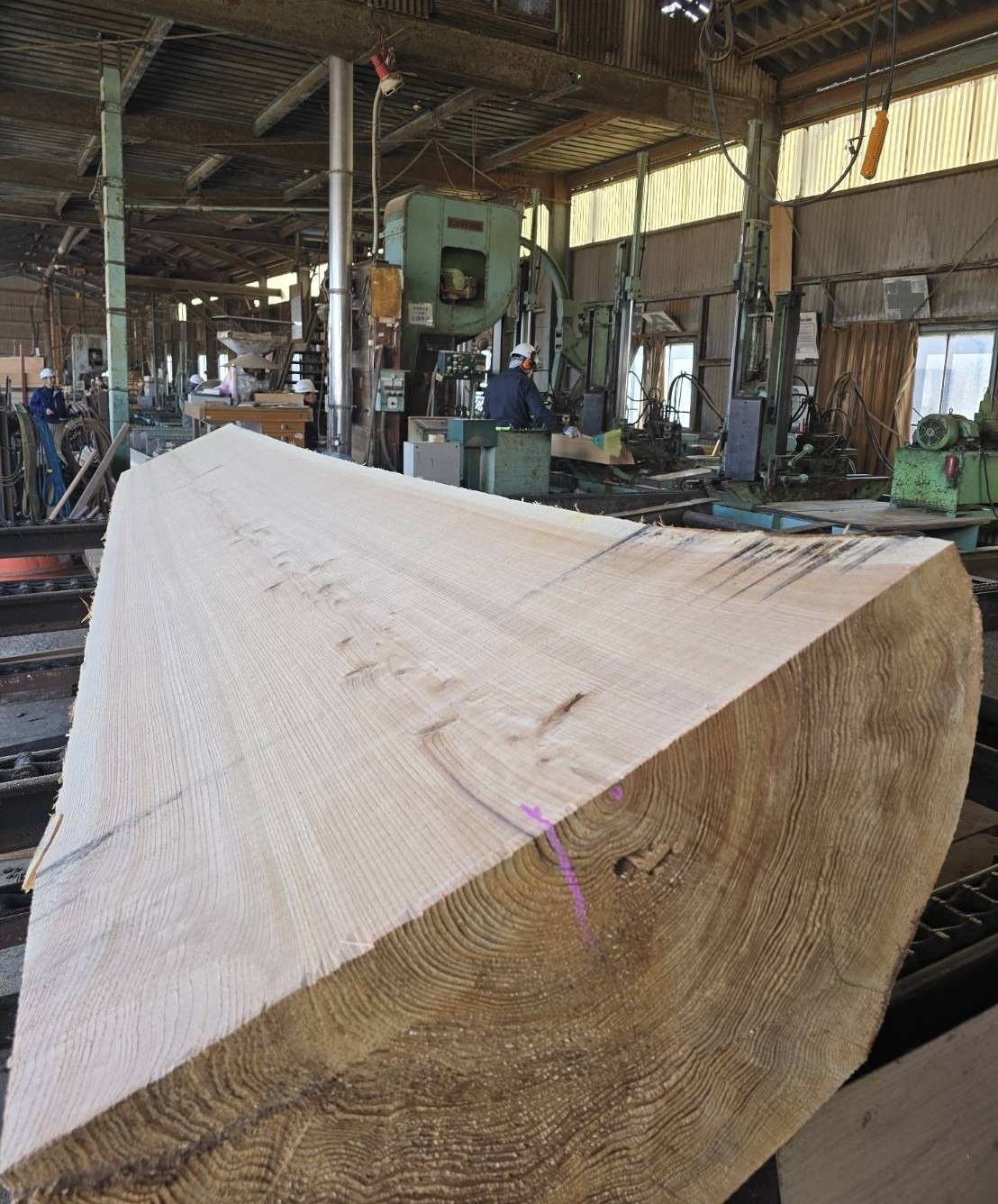 杉（スギ）　無垢材