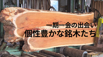 一期一会の出会い 個性豊かな銘木たち