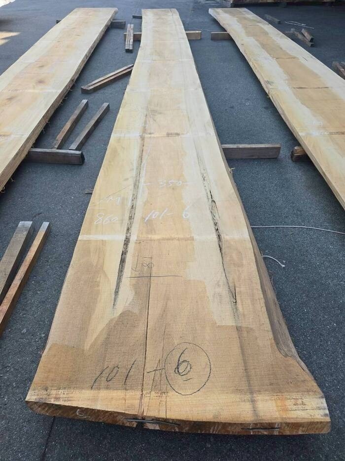 檜（ヒノキ）　一枚板