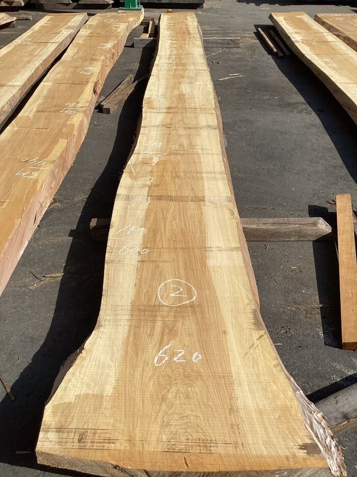 檜（ヒノキ）　一枚板