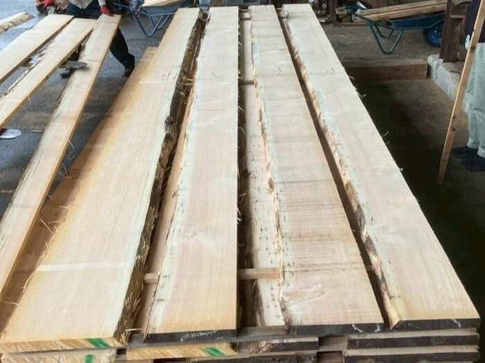 スプルース　無垢材