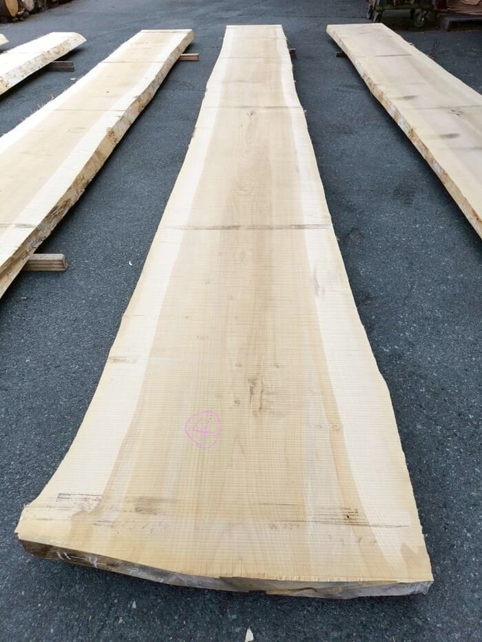 銀杏（イチョウ）　一枚板