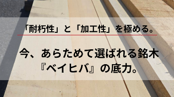 「耐朽性」と「加工性」を極める。 今、あらためて選ばれる銘木『ベイヒバ』の底力。