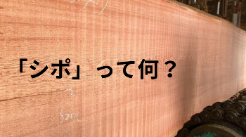 『シポ』って何？