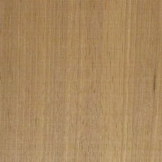 胡桃(クルミ)