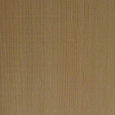 米檜(ベイヒ)