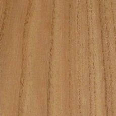 栴檀(センダン)