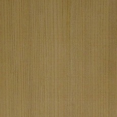 ラオススギ