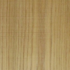 黄蘗(キハダ)