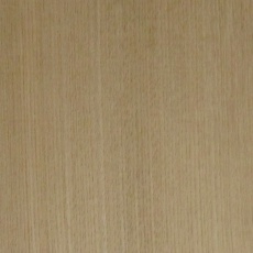 楡(ニレ)